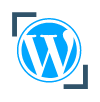 Hire WordPress Developers